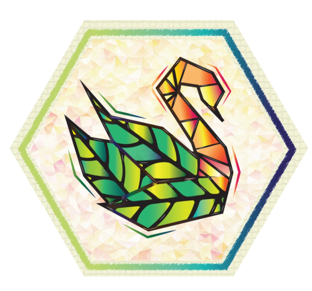 Motion graphic designer animator