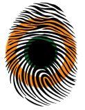 Compositor